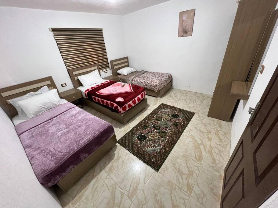 Z3 Apartment Вади Муса Екстериор снимка