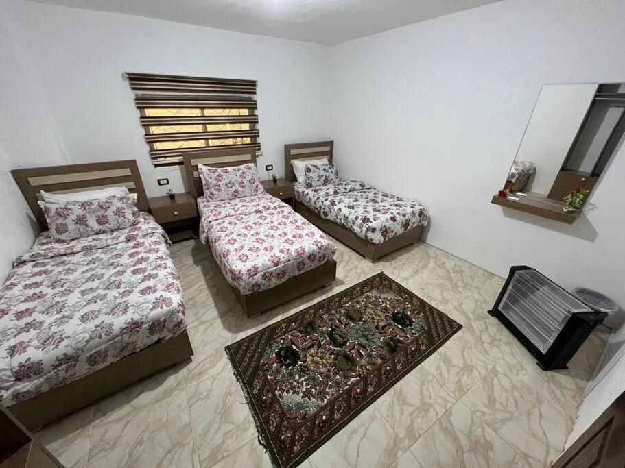 Z3 Apartment Вади Муса Екстериор снимка