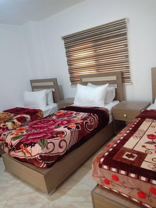 Z3 Apartment Вади Муса Екстериор снимка
