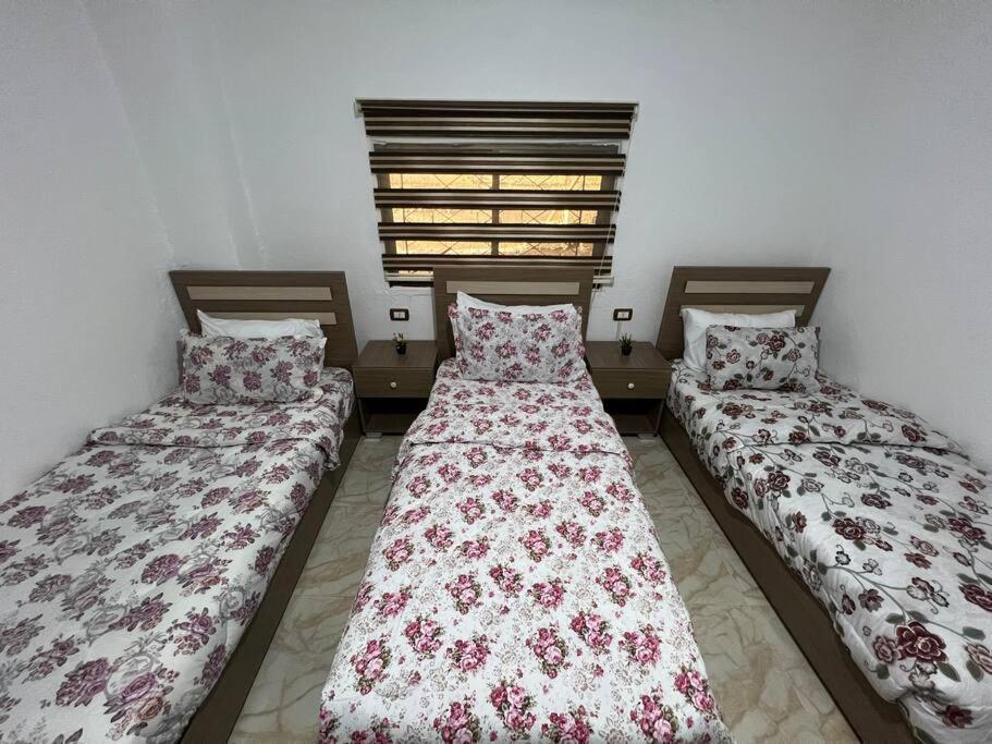 Z3 Apartment Вади Муса Екстериор снимка