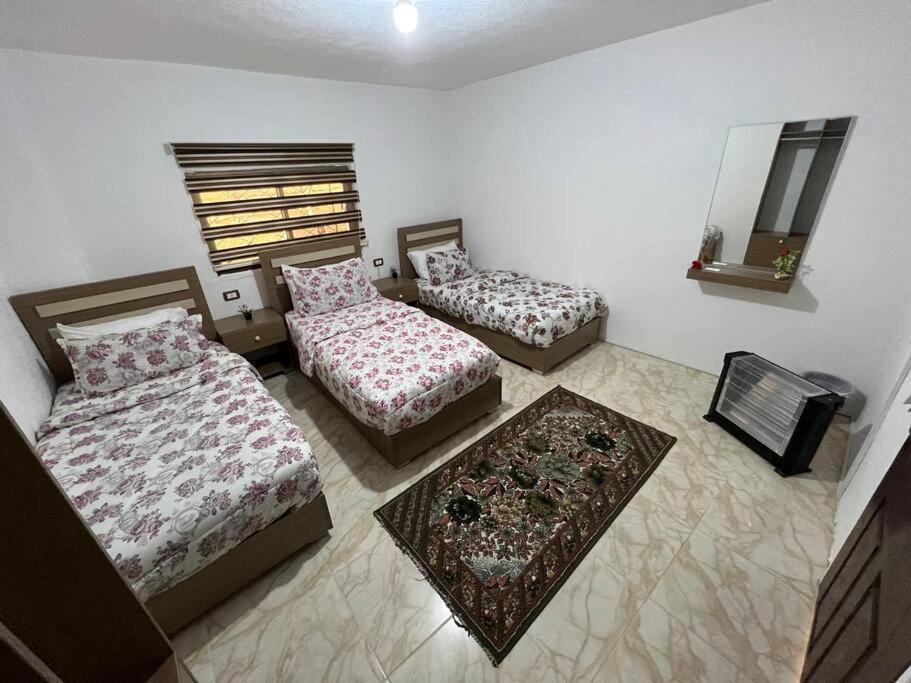 Z3 Apartment Вади Муса Екстериор снимка